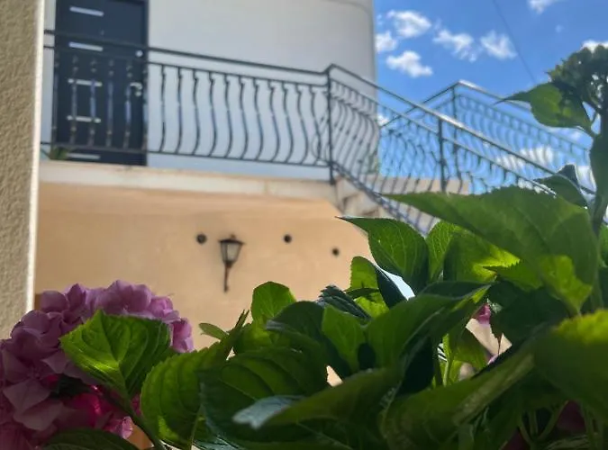 Calypso Daire Trogir