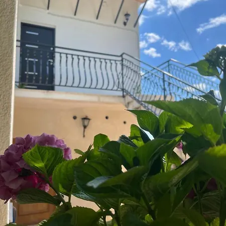 Calypso Daire Trogir